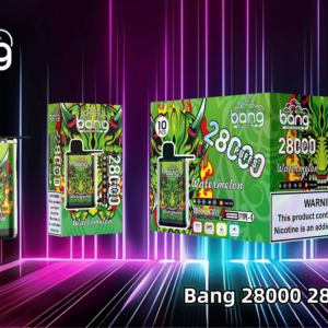 WATERMELON WEGWERP VAPE 28K PUFFS