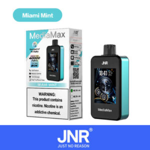 MIAMI MINT 40K PUFFS