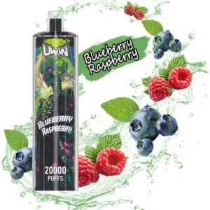 BLUEBERRY RASPBERRY WEGWERP VAPE 20K PUFFS
