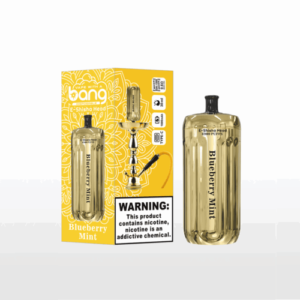 BLUEBERRY MINT WEGWERP VAPE 42K PUFFS