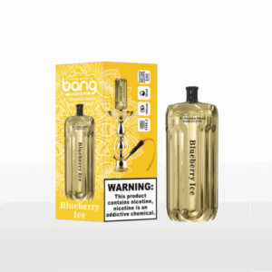 BLUEBERRY ICE WEGWERP VAPE 42K PUFFS