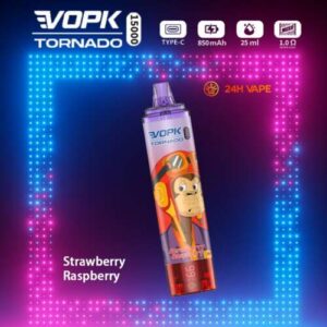 STRAWBERRY RASPBERRY WEGWERP VAPE 15K PUFFS